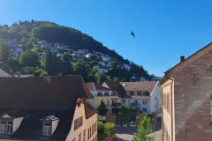 Ausblick Richtung Neuer Markt